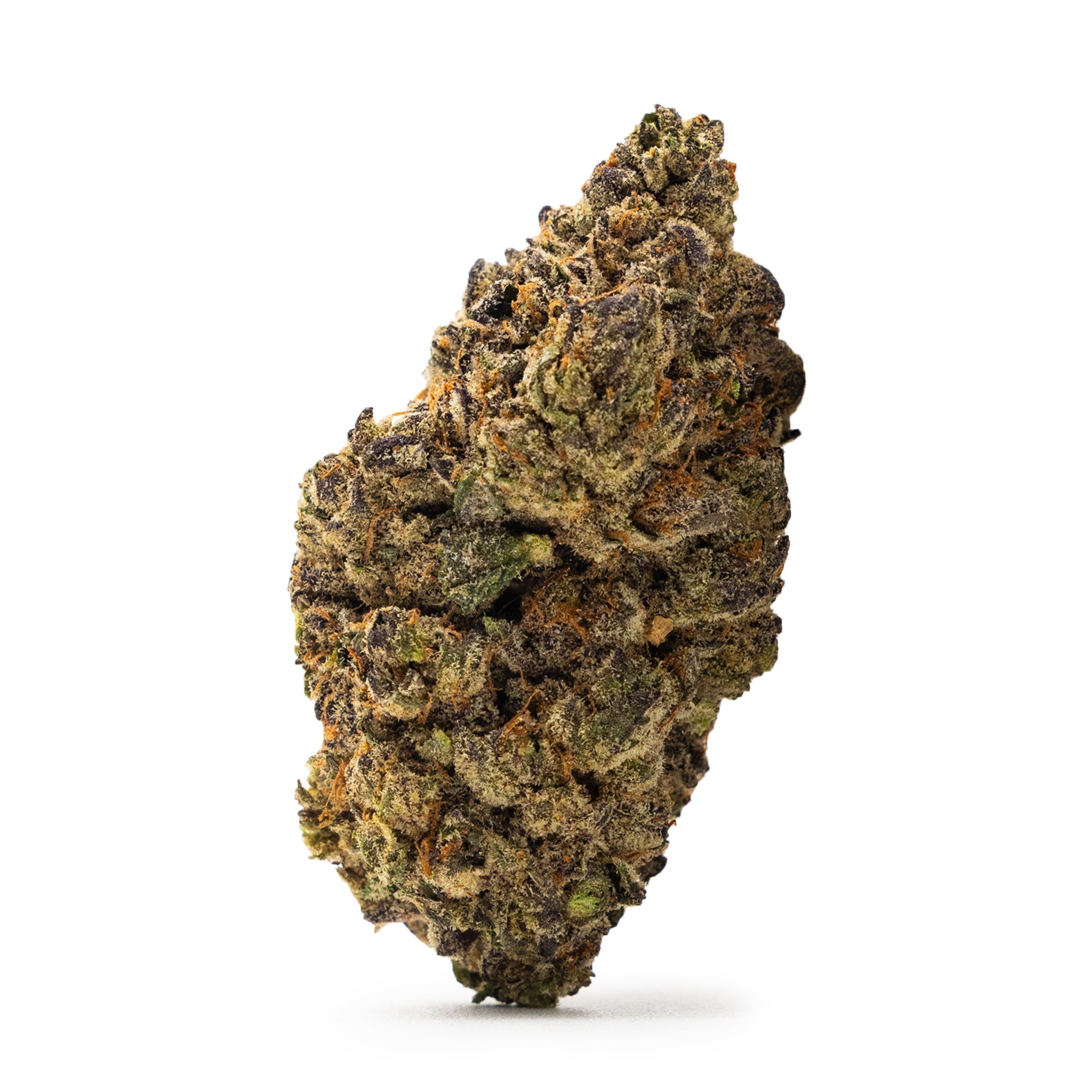 Blue Nerdz - DEGIN store