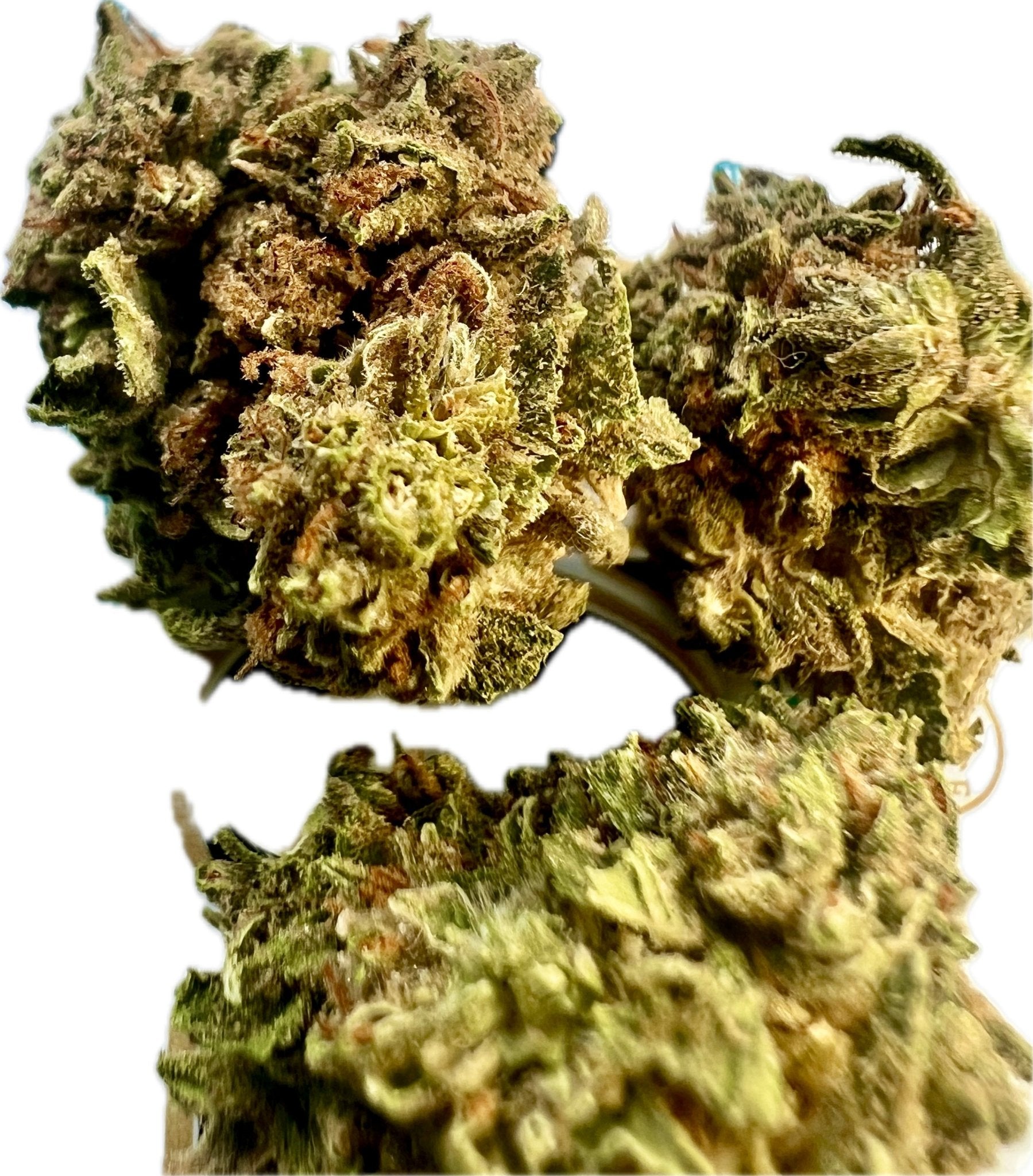 Ripkitty Gelato 33 THCA Hemp Flowers - DEGIN store