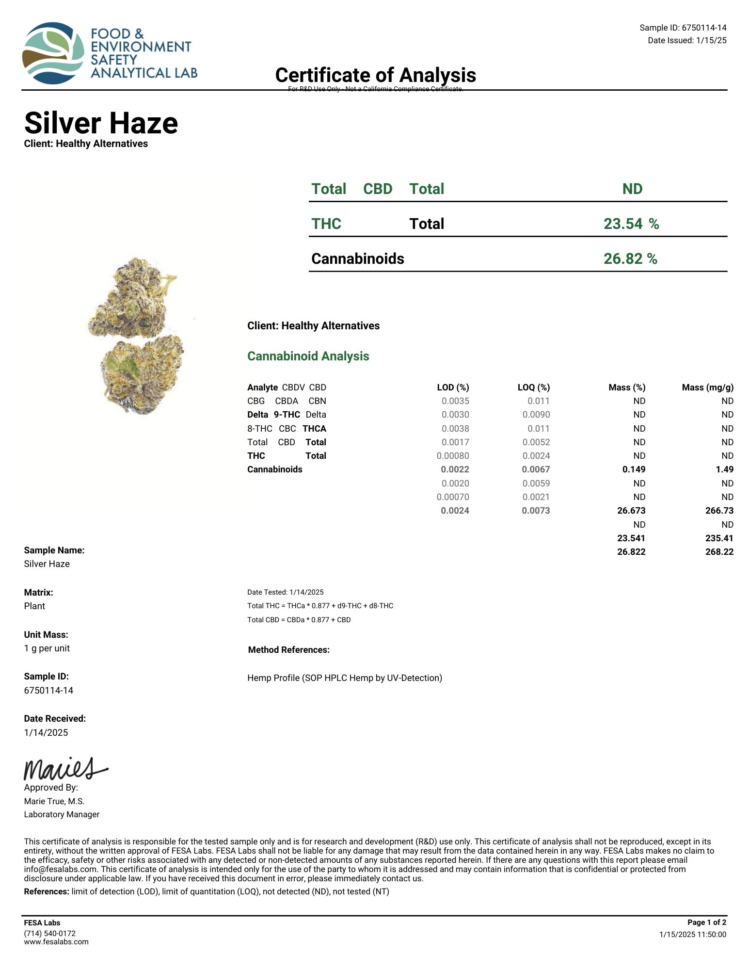 Silver Haze - DEGIN store