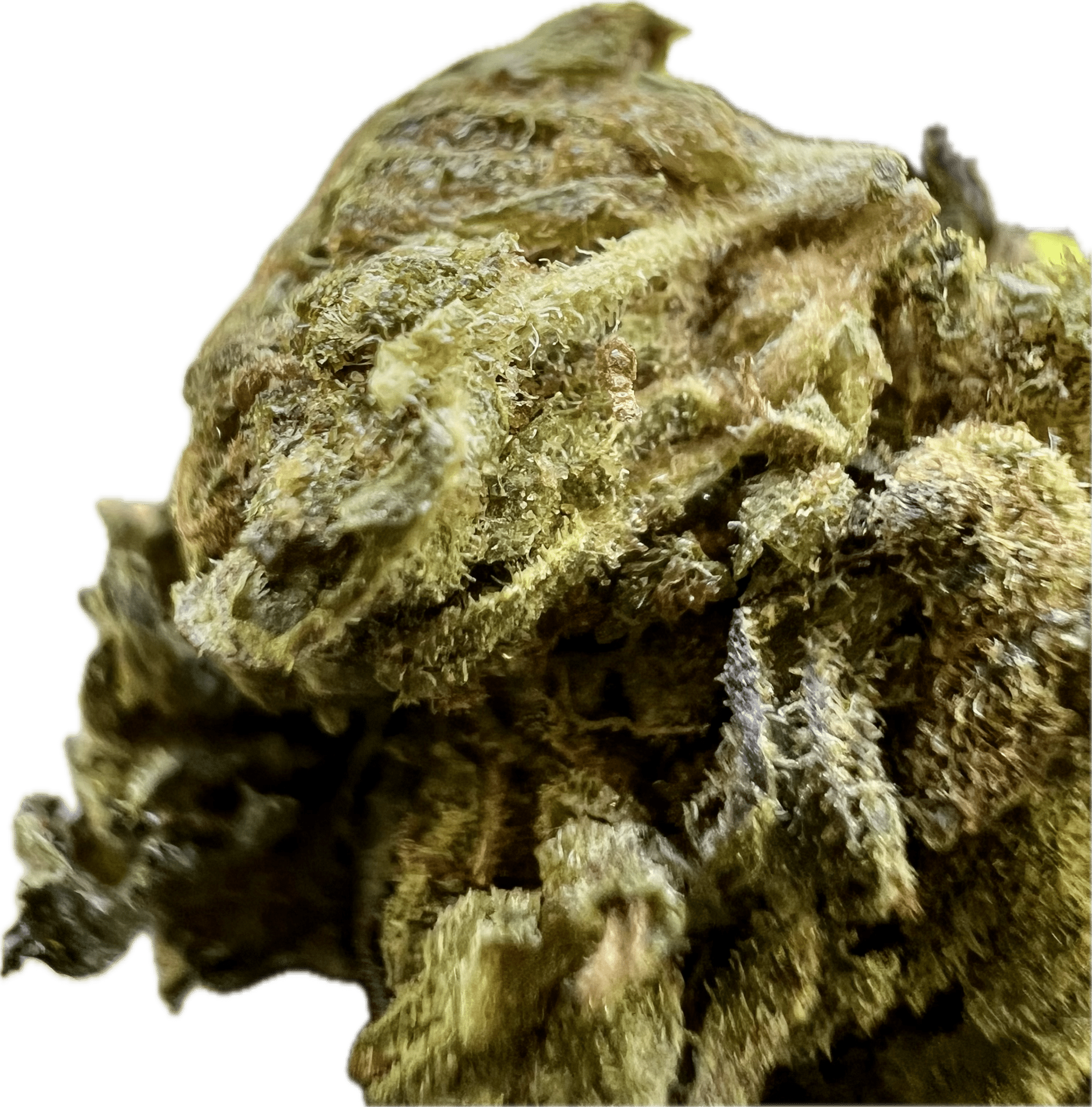 Ripkitty Mendo Breath THCA Hemp Flowers - DEGIN store