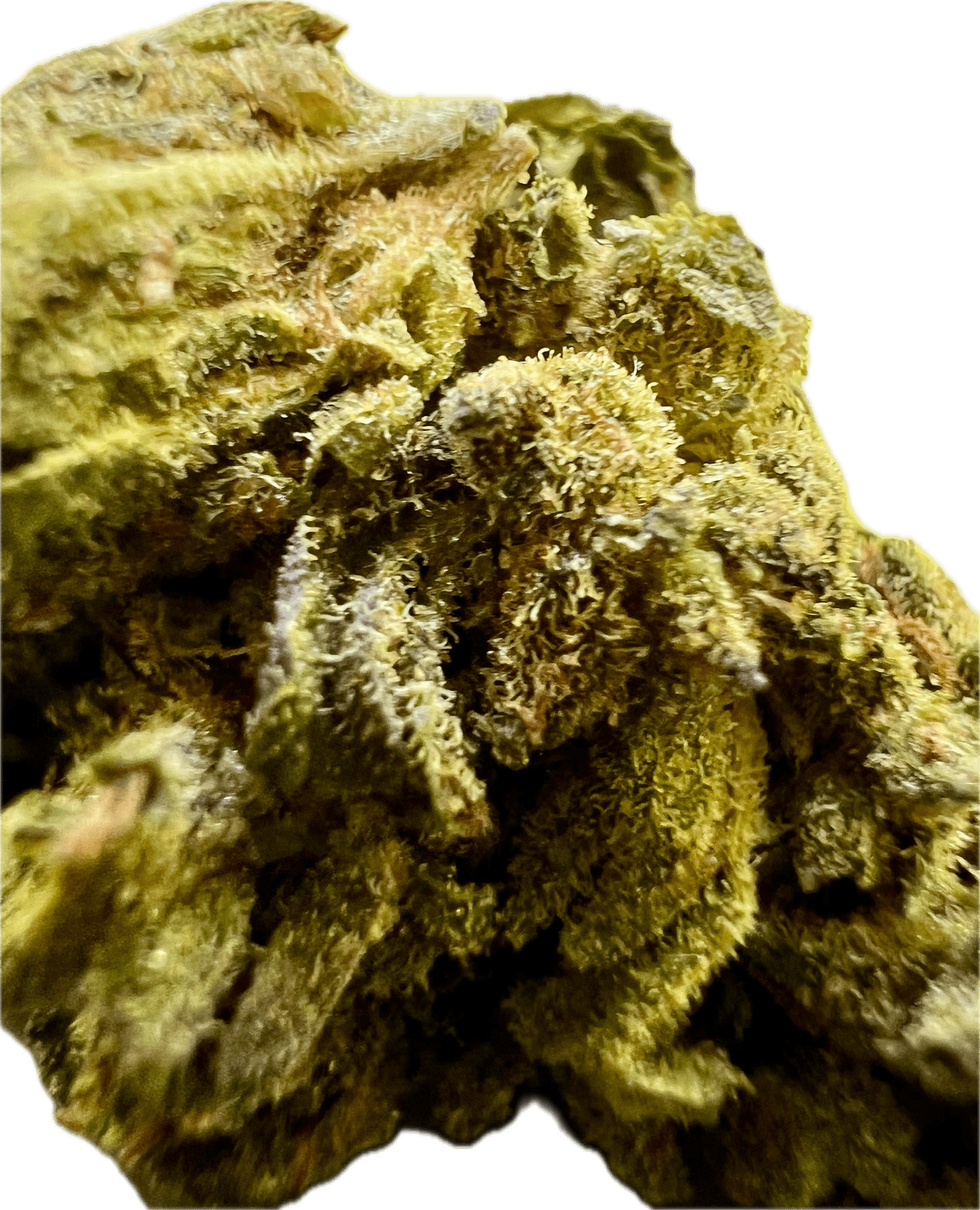 Ripkitty Mendo Breath THCA Hemp Flowers - DEGIN store