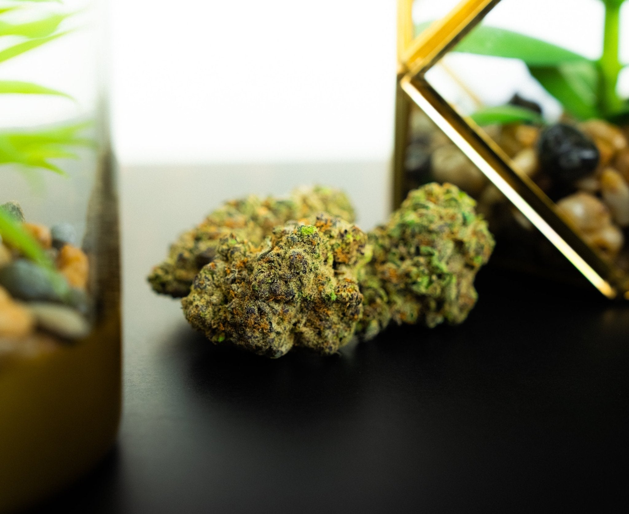 Blue Nerdz - DEGIN store