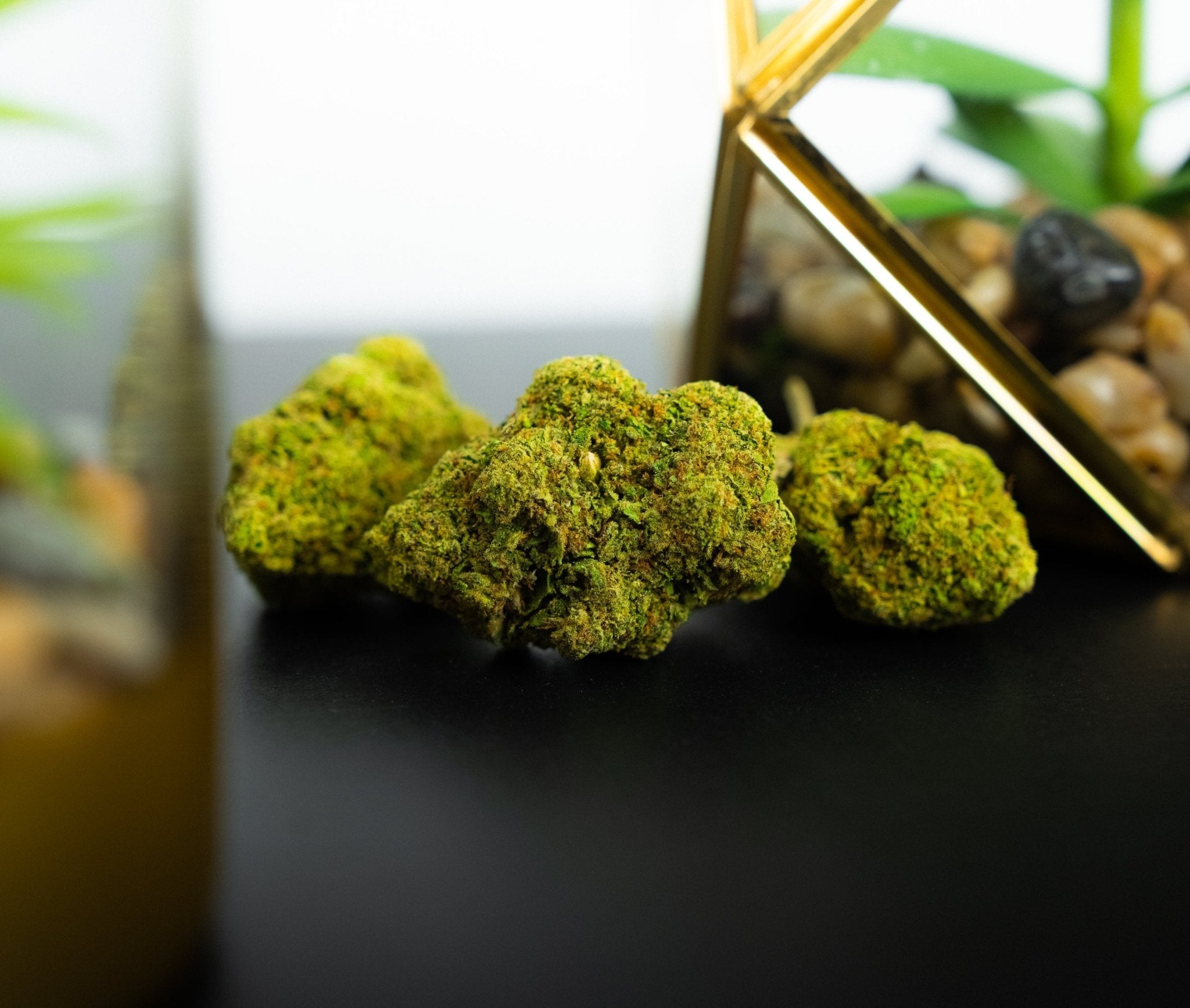 Blue Dream - DEGIN store