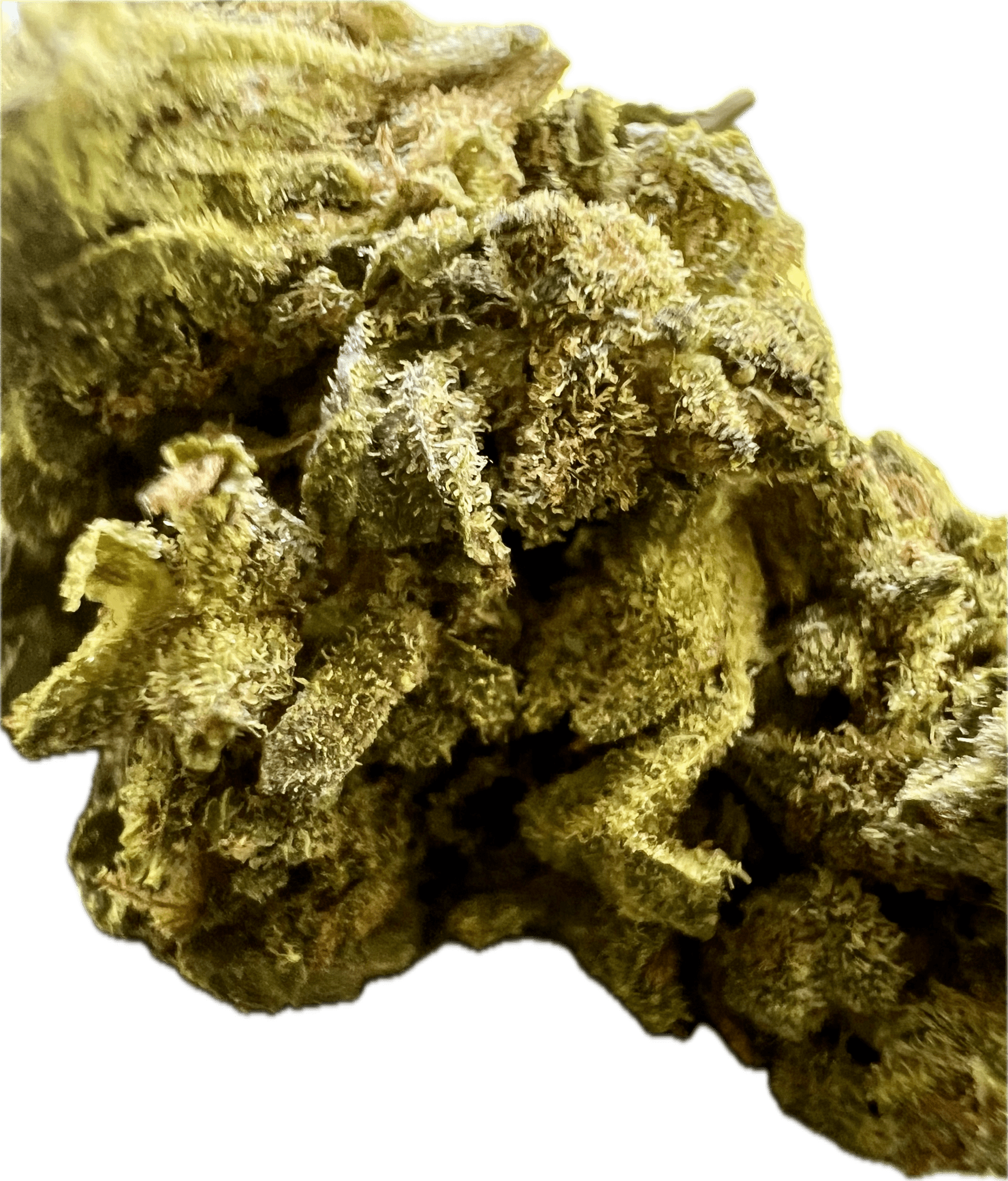 Ripkitty Mendo Breath THCA Hemp Flowers - DEGIN store