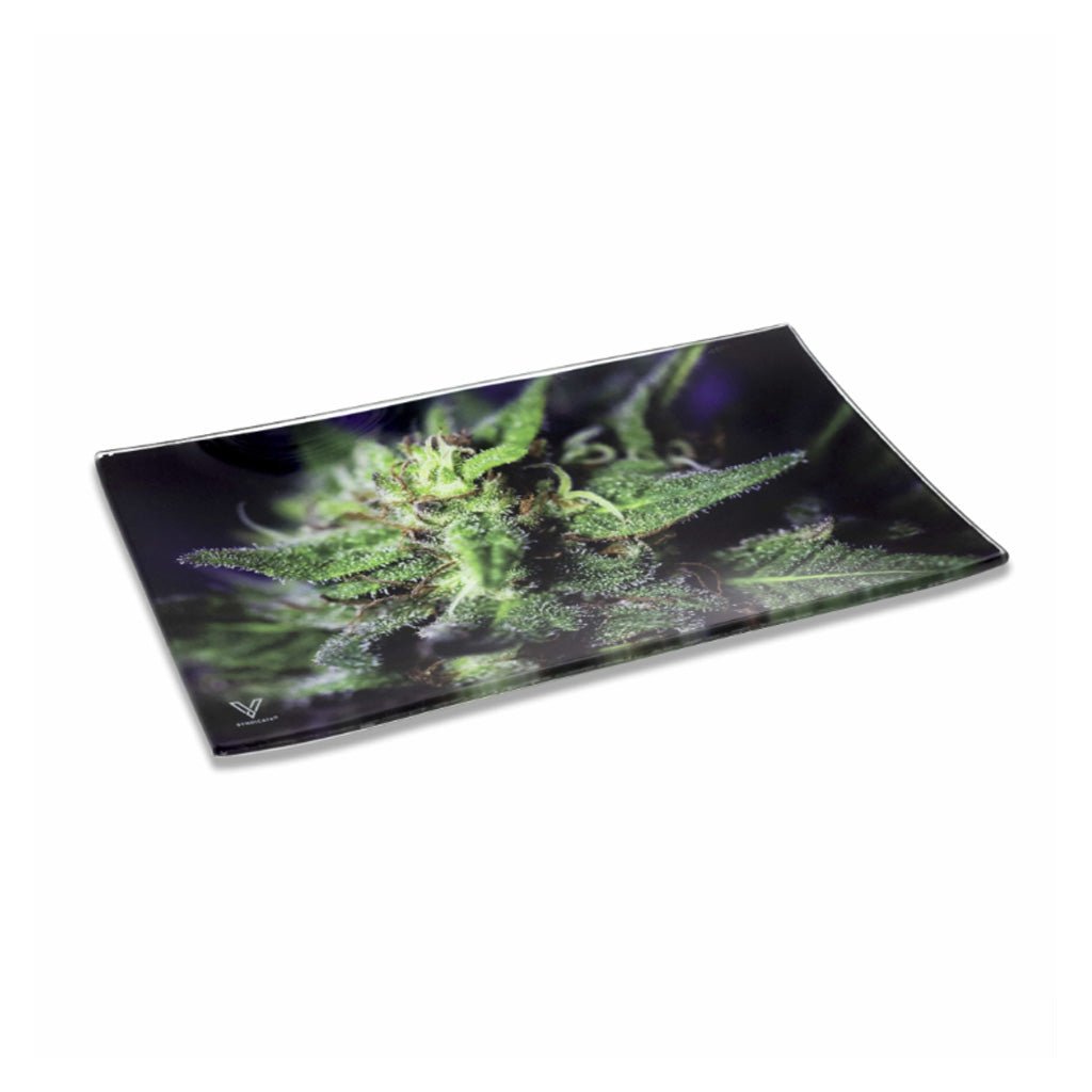 BLUE DREAM GLASS TRAY - DEGIN store