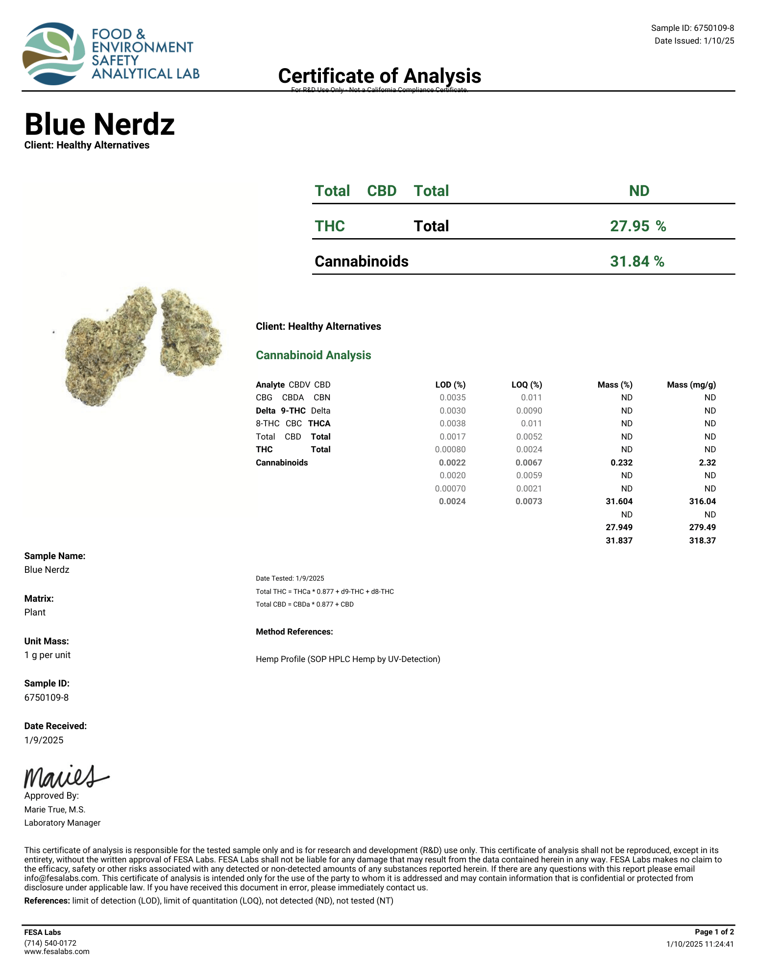 Blue Nerdz - DEGIN store