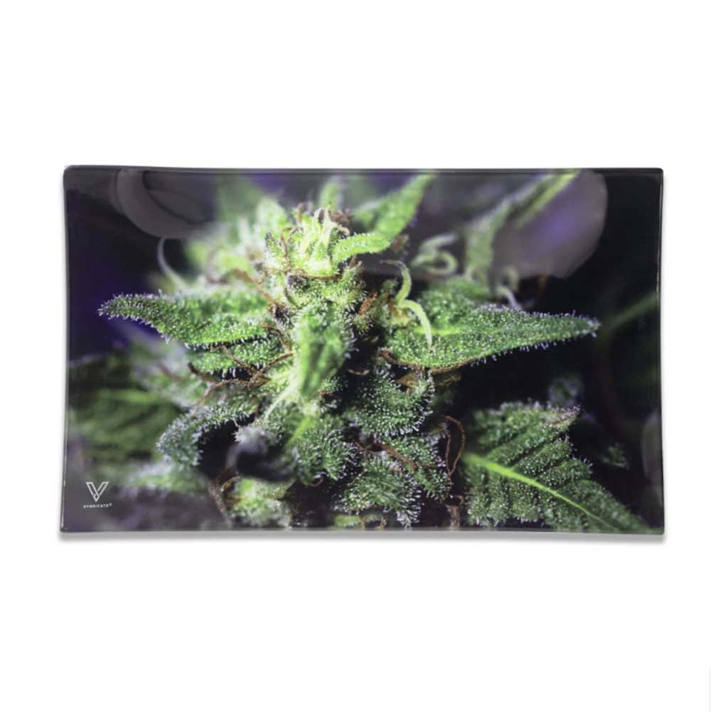 BLUE DREAM GLASS TRAY - DEGIN store